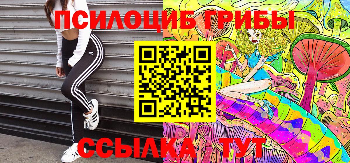 купить наркоту  Псилоцибиновые грибы Magic Shrooms  Вход с VPN  Изобильный  Псилоцибиновые грибы мухоморы 
