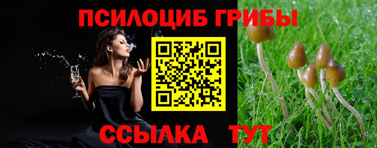 Галлюциногенные грибы GOLDEN TEACHER Изобильный
